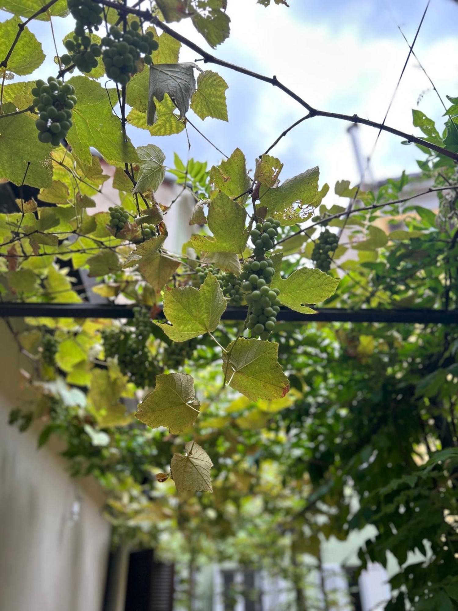 Residenza Radetzky — Foto 2